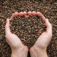 Seed Check Technologies Inc. (@seedcheck) 's Twitter Profile