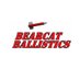 Bearcat Ballistics (@UCRocketTeam19) Twitter profile photo
