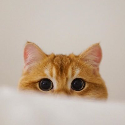 gkf56789's profile picture. استشارية في قسم العظام ام حنونه مستقبلا💍❤️