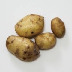 potato0x00's profile picture. AIで遊んでます^^