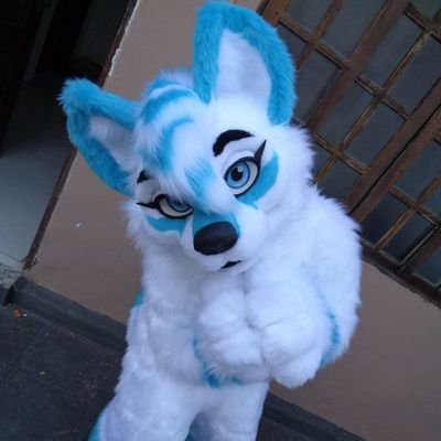 AmyliaSmithy's profile picture. Fursuiter / Female / germany / Canidae / Arctic Wolf Husky 
Made by Furry_Machine