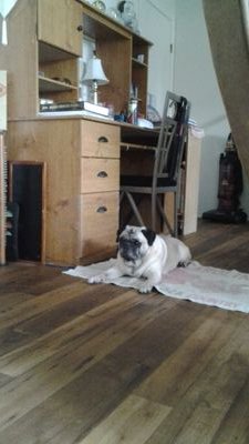 alcdic85's profile picture. WIFE ,Mother, Sister, Daughter best of all Gammie