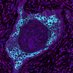 @MRC_AIM_DTP (@impact_aim_mrc) Twitter profile photo @MRC_AIM_DTP (@impact_aim_mrc) Twitter profile photo