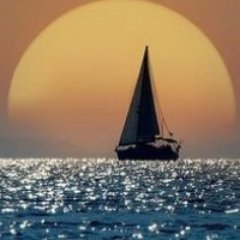 marque_leonor's profile picture. 