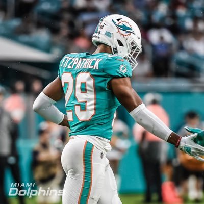 Miami Dolphins Diehard. Reshad Jones, Minkah, and Jakeem stan. Fins Up.