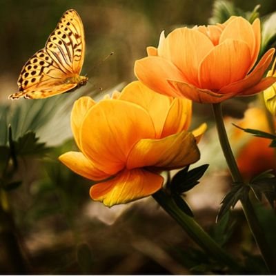 rrwe33's profile picture. زوجين جادين