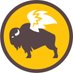Buffalo Wild Wings (@bwwingscanada) Twitter profile photo