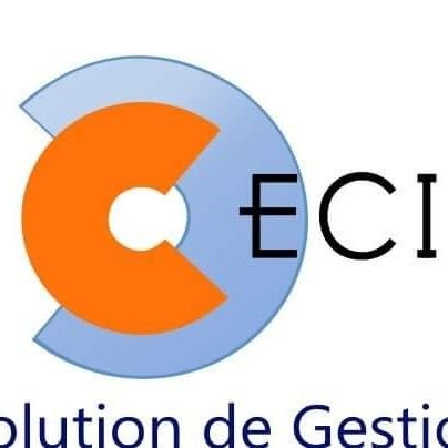 GENERAL MANAGER ECI - Expert en développement industriel et mise à niveau des PME/PMI