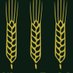 Wheatfields Bakery 🌾 (@wheatfieldsbkry) Twitter profile photo Wheatfields Bakery 🌾 (@wheatfieldsbkry) Twitter profile photo