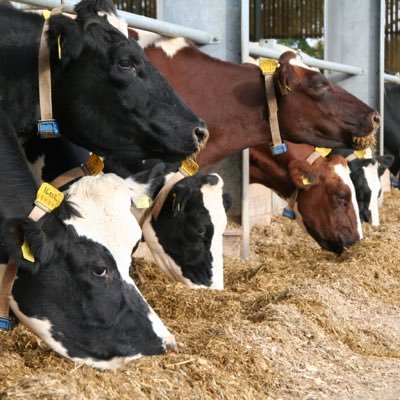 dairytech2's profile picture. technical updates and news for the dairy industry