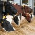 dairytech (@dairytech2) Twitter profile photo dairytech (@dairytech2) Twitter profile photo