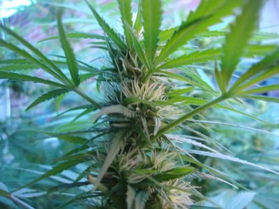 griffjoven_gr's profile picture. Amante de la buena vida