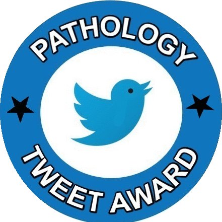 Yearly awards for the best educational tweets to promote sharing of pathology knowledge on social media.
(Managed by @ahsanuitis & @AmyHDeekenMD)