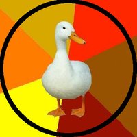 Jeroen De Dauw (@jeroendedauw) 's Twitter Profile Photo