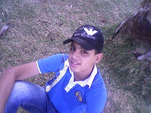 pipocosovo's profile picture. 