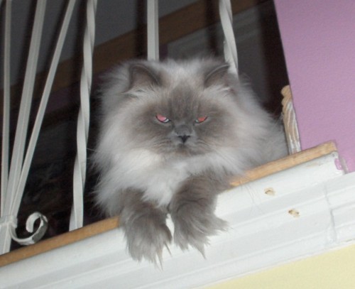 semsniper's profile picture. Internet Marketing, Search marketing, SEO, PPC, Social Media, Online Branding