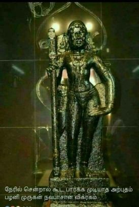 ntamilbp's profile picture. 