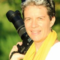 Virginie Leroy (@vljmleroy) 's Twitter Profile