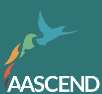 AASCEND_SF Profile Picture