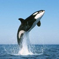Veronica Valdez (@valdezfrontdesk) 's Twitter Profile Photo Veronica Valdez (@valdezfrontdesk) 's Twitter Profile Photo