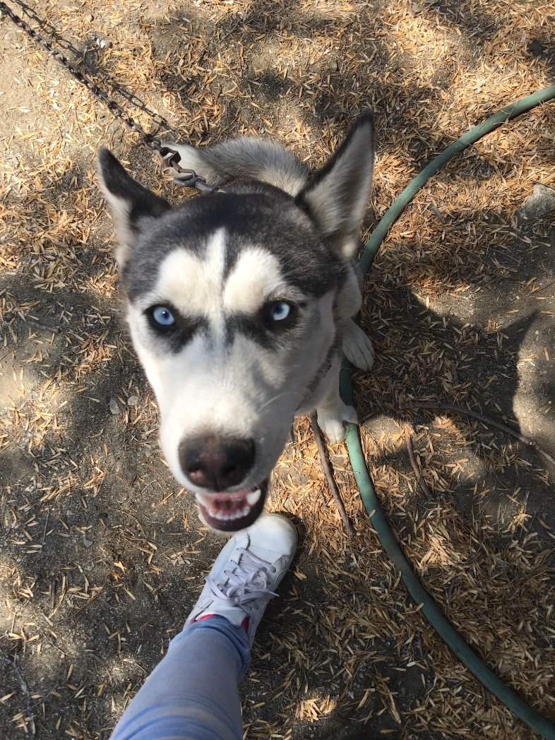 Stephaanievee's profile picture. 