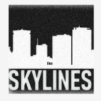 skylinescorp's profile picture. Skylines [DigiCorp] is a Denver, Colorado based provider of IT consulting, next-generation digital services, and software solutions for modern enterprises.