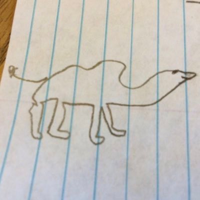 CamelSeal's profile picture. idk what’s happening anymore