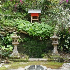 大宝寺　もくれん観音さんのプロフィール画像