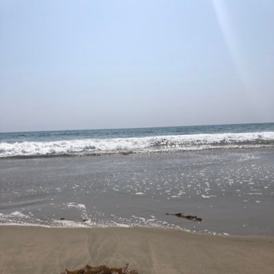 juliezscheife's profile picture. inactive account