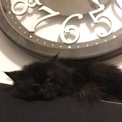 AbbiHonrade's profile picture. 