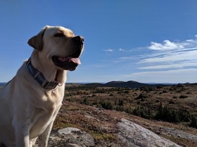 Jsallard2's profile picture. 