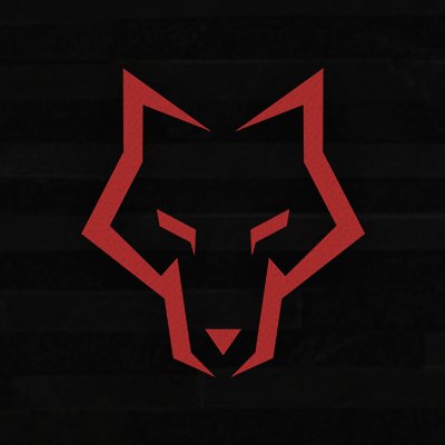 wolfsolutionsuk's profile picture. 