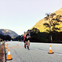 Dan Mortimer (@curliestdan) 's Twitter Profile