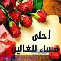 البرنس المصري (@pfys9zxm2adknlc) Twitter profile photo