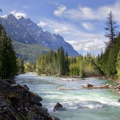 Melmurphy17's profile picture. All about sports, music, comedy,  & the environment.