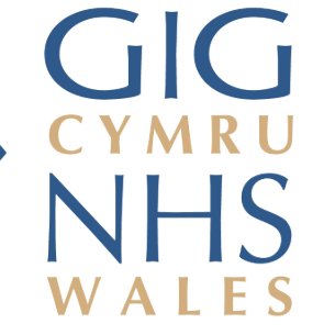 Waleselearning's profile picture. Once for Wales - Standardising e Learning for NHS and Public Sector Wales via the Electronic Staff Record (ESR) and Learning@Wales learning management systems.