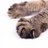 ombudsman_s's profile image