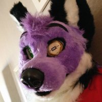Kit Fox ➡️ FWA (@fuckitfox) 's Twitter Profile Photo Kit Fox ➡️ FWA (@fuckitfox) 's Twitter Profile Photo