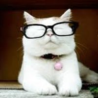 Catturd ™ (@catturd2) 's Twitter Profile Photo Catturd ™ (@catturd2) 's Twitter Profile Photo