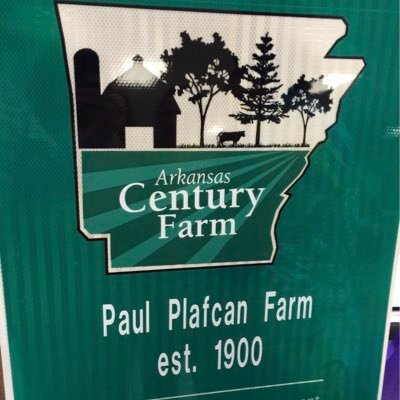 LawsonPlafcan's profile picture. 