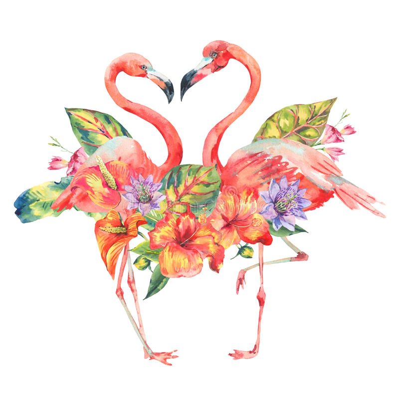 meme12988372's profile picture. 