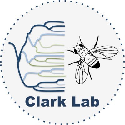 Official twitter account for The Clark Lab @Cornell. Lab news and cool science. Tweets by lab members, Andy’s signed with AC (