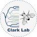 TheClarkLabCornell (@clarklabcornell) Twitter profile photo TheClarkLabCornell (@clarklabcornell) Twitter profile photo