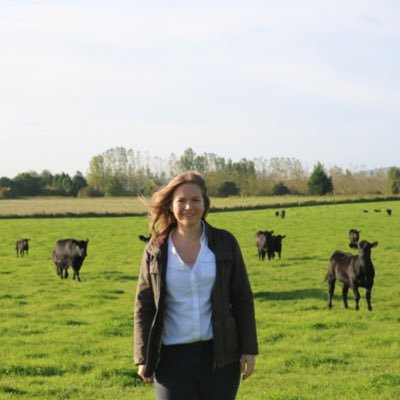 RomyGue's profile picture. Sussex based. Passionate about the future of British ag.
