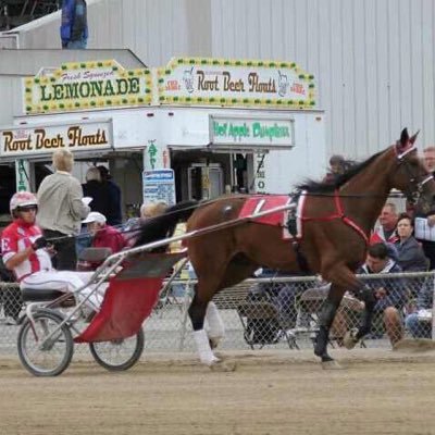 RUSSELL EARLEY III harness racingDr./Tr. Proud Buckeye O H I O https://t.co/cuk94Xt8PF