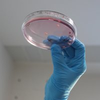 Shcheglovitov Lab (@shcheglovitov) 's Twitter Profile Photo