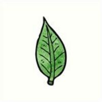 CPP Sustainability (@sustaincpp) 's Twitter Profile