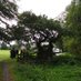 Sedbergh_Conservation (@sedberghconser1) Twitter profile photo Sedbergh_Conservation (@sedberghconser1) Twitter profile photo