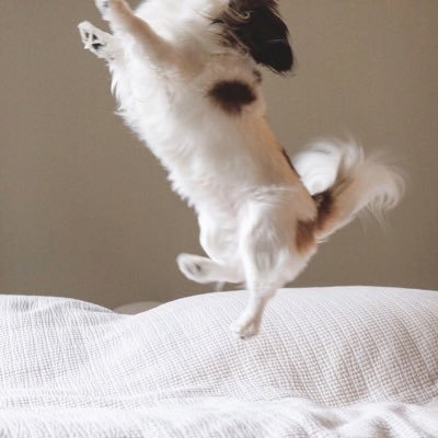 seoheeya's profile picture. 😎