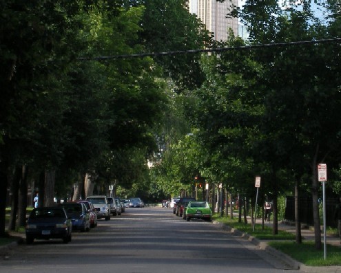 mycsrnetwork's profile picture. Community Support and Recovery Network

A network of informaton and support to those in need.